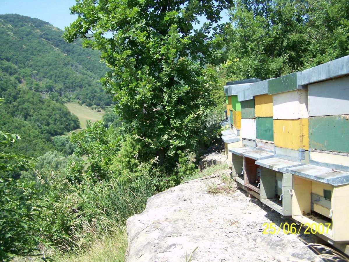 Agriturismo Pedrosola Brisighella Extérieur photo